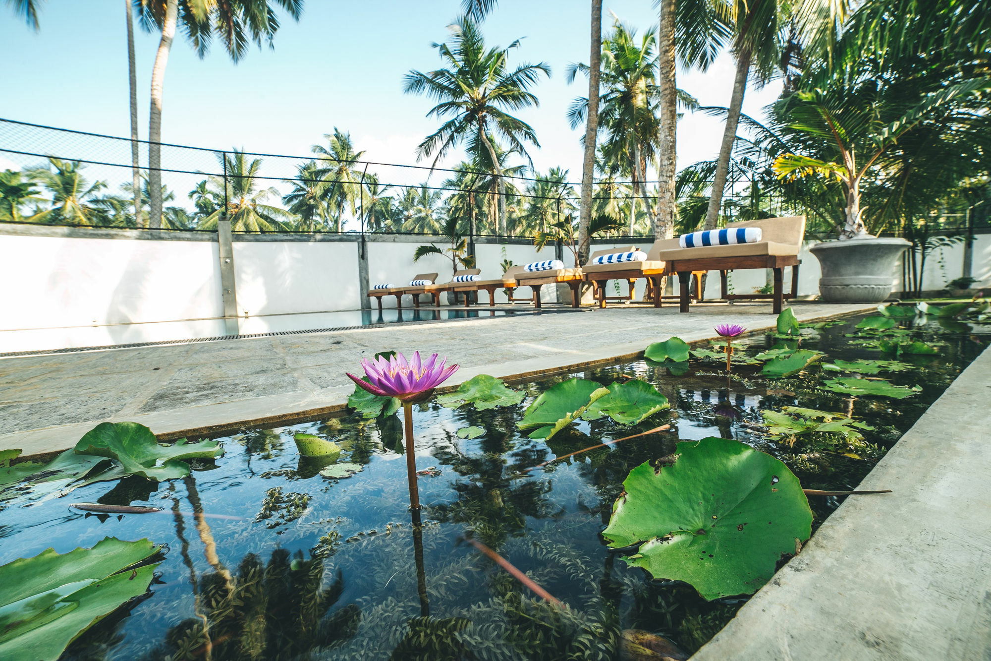 Sisikirana Villa อูนาวาตูนา ภายนอก รูปภาพ